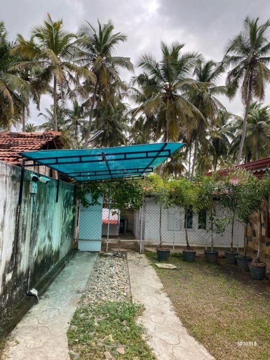 Exterior - House for sale in Negombo