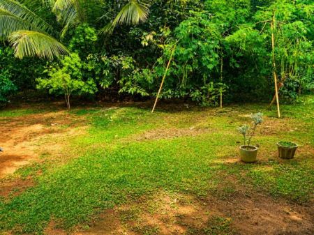 Exterior - House for Sale in Pilasse - Mawathagama (SSPH-434)