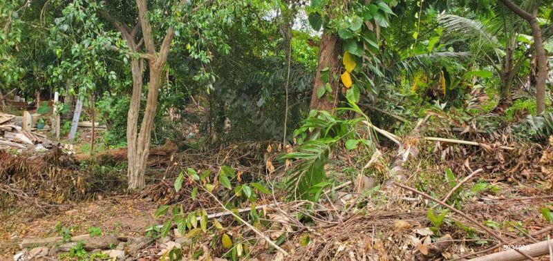 Bare Land for sale in Maharagama