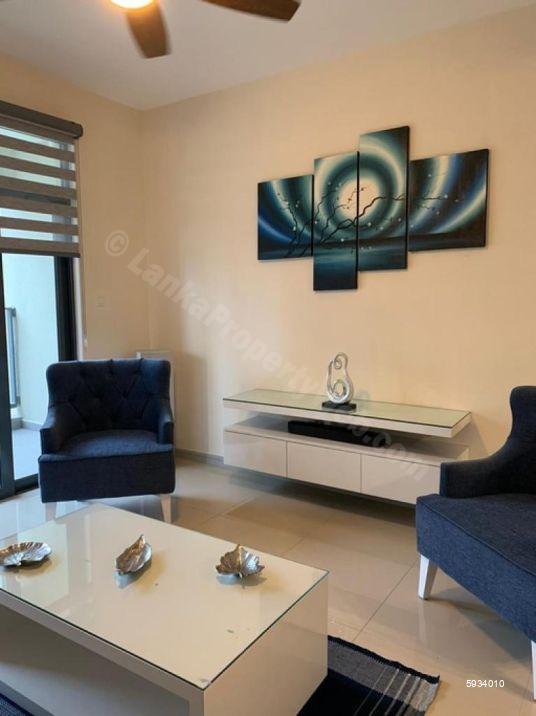 Apartment for rent in Colombo 5