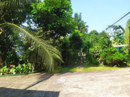 Exterior - 6 bedrooms house with 29 p land in Peradeniya 29.5 million Negotiable 5-6 vehicles can park