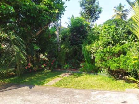 Exterior - 6 bedrooms house with 29 p land in Peradeniya 29.5 million Negotiable 5-6 vehicles can park