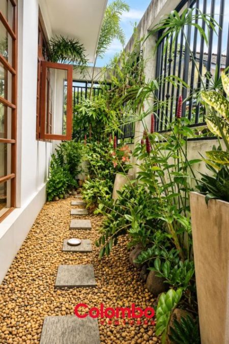Exterior - 3 Room Modern House for SALE - S.D.S. Jayasinghe Mawatha, Nugegoda (Kohuwala Road) (HS455)