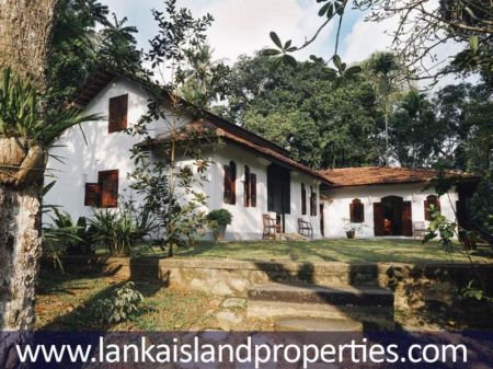 Exterior - Renovated Colonial Villa - LIP 181