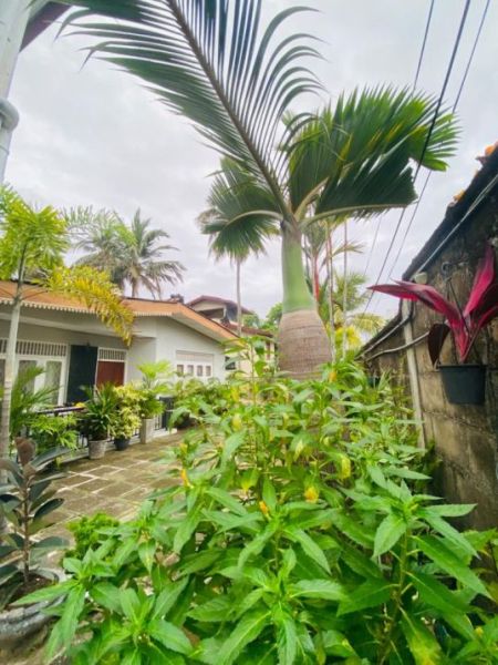 Exterior -  House & Land for Sale in Dehiwala, Nadimala |LKR 117.6 Million (HS4849)