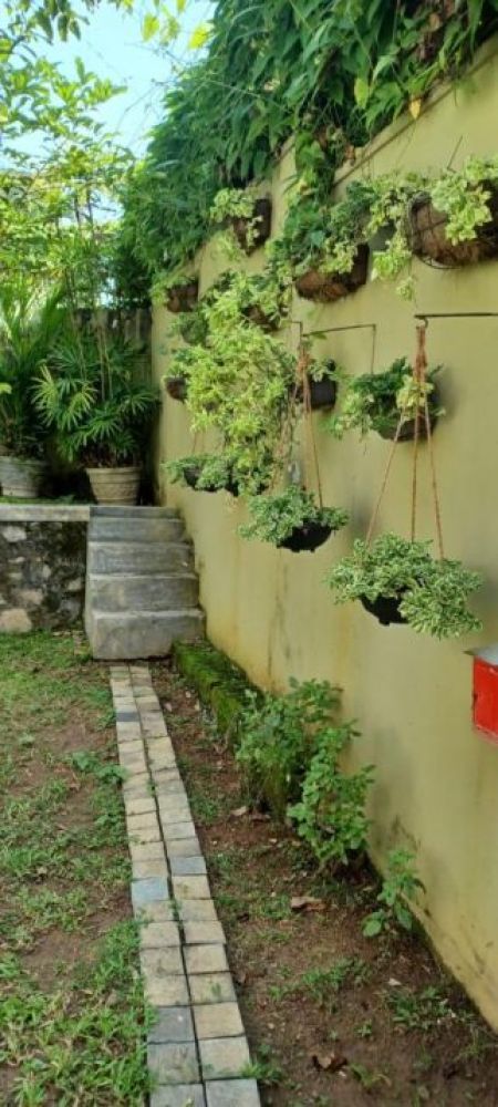 Exterior - 4-Bedroom House for Sale in Battaramulla 