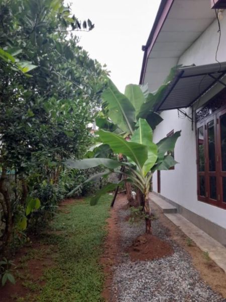 Exterior - (AH189) House for Sale in Madulawa, Homagama