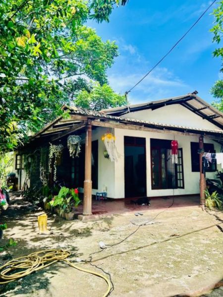 Exterior - (BH195) Single Storey House for Sale in Wattala