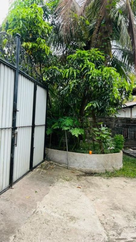 Exterior - (BH196) Two Storey House for Sale in Gampaha Miriswatte