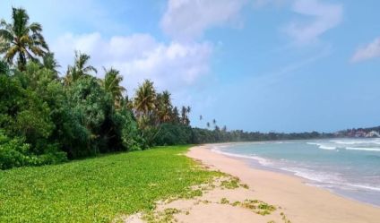 Beachfront land