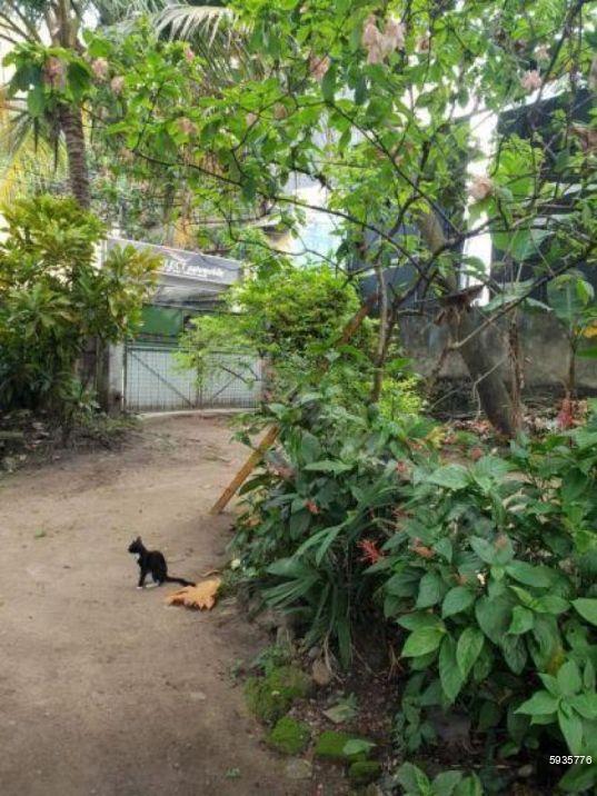 Commercial for sale in Dehiwala