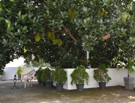 Exterior - 🏢 Modern 3-Apartment Building for Sale in Colombo 05 - PDA514