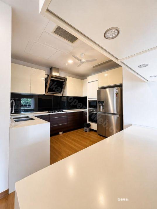 House for rent in Colombo 7