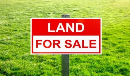 Bare Land