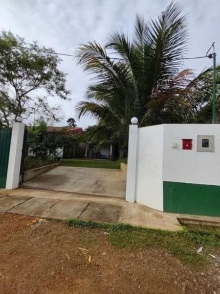 Exterior - (AH203) Modern Studio Type House for Sale in Meegoda