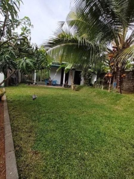 Exterior - (AH203) Modern Studio Type House for Sale in Meegoda