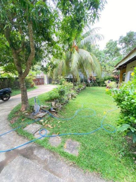 Exterior - (KH938) Spacious House for Sale in Katana