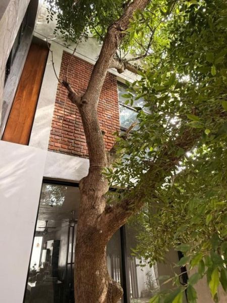 Exterior - 2 Houses on One Property for Sale in Pamunuwa Road, Maharagama (HS4870)