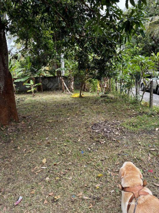 View of borders - Bare Land for sale in Negombo