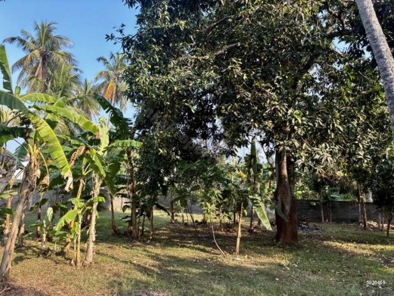 Bare Land for sale in Negombo