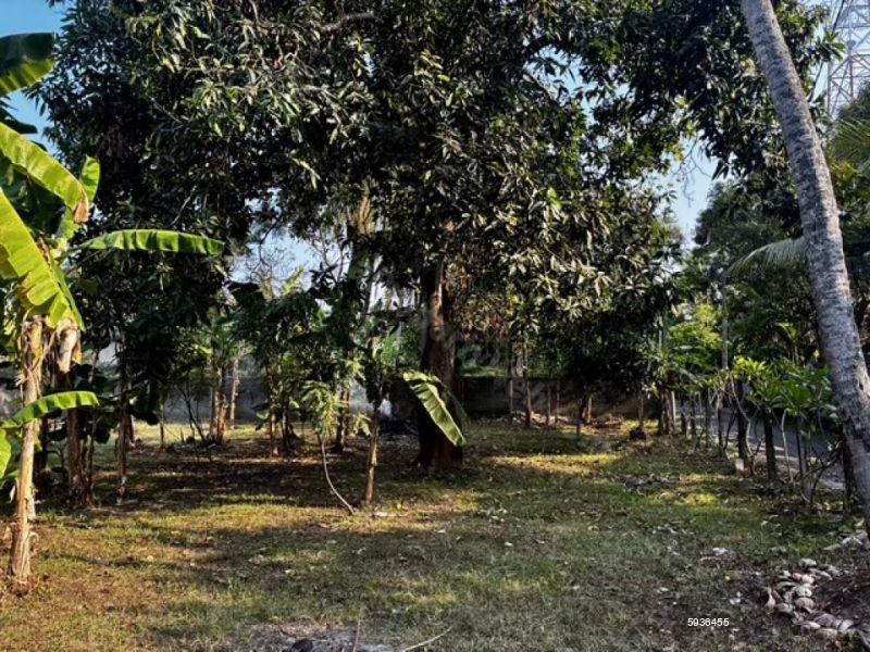 View of borders - Bare Land for sale in Negombo