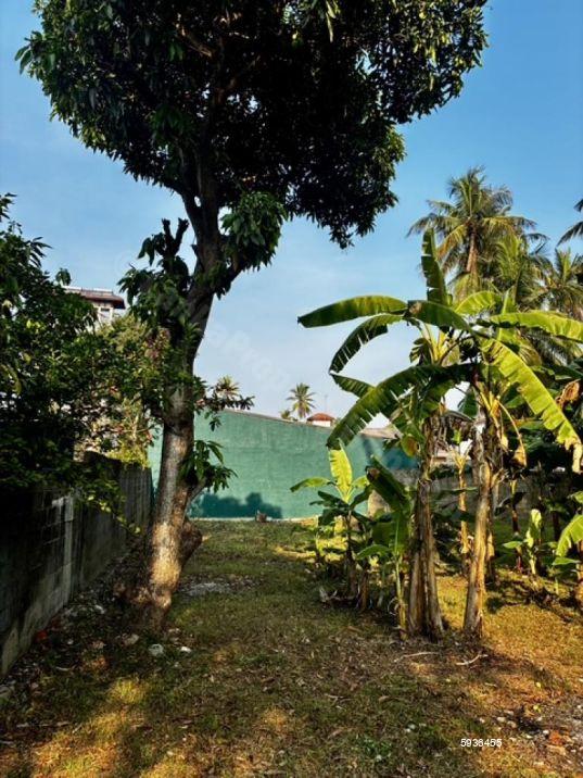 View from road - Bare Land for sale in Negombo