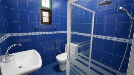 Bathroom - (DH1301) Single Storey House for Sale in Nugegoda
