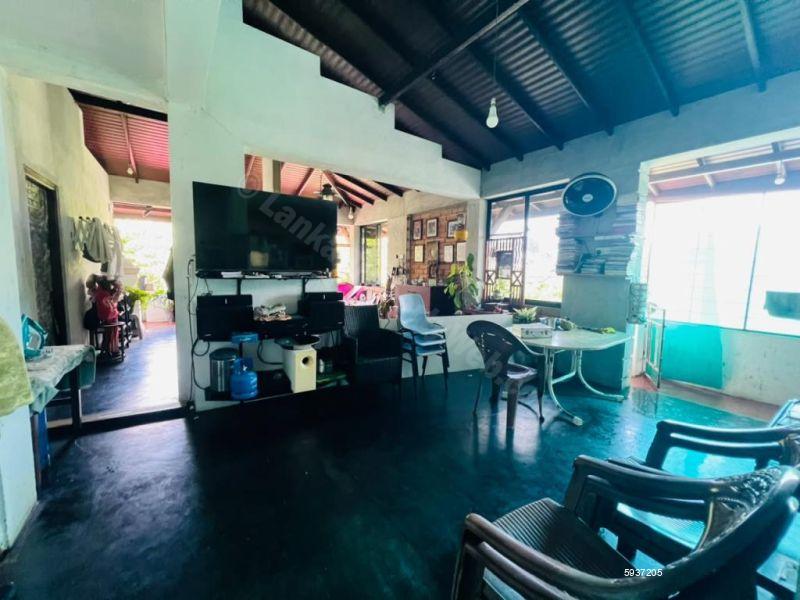 Kitchen - House for rent in Pannipitiya