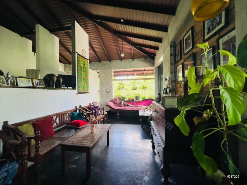 House for rent in Pannipitiya