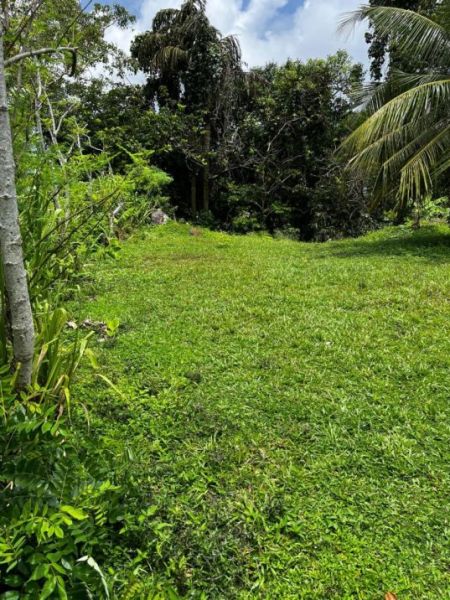 Exterior - Off-market Investment Opportunity-sale-galle