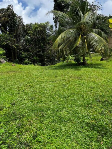 Exterior - Off-market Investment Opportunity-sale-galle