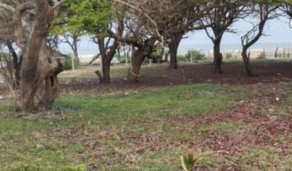 Beachfront land