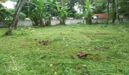 Land with house