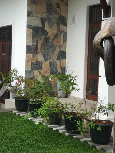 Exterior - (KH907) 5 Bedroom Luxury House for Sale in Yakkala