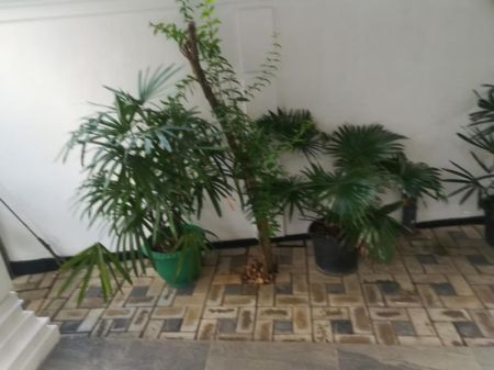 Exterior - (KH907) 5 Bedroom Luxury House for Sale in Yakkala
