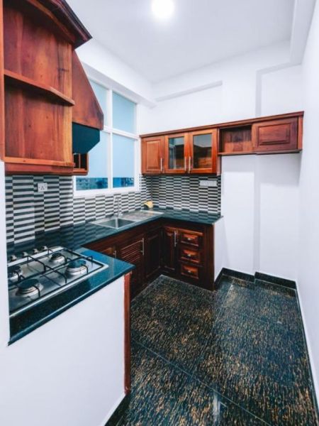 Kitchen - Spring Court  ￭ 03BR Apartment For Sale ￭ (NK11638)