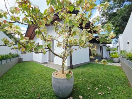 Exterior - Modern Designed Luxury Single Story House For Sale In Meegoda 