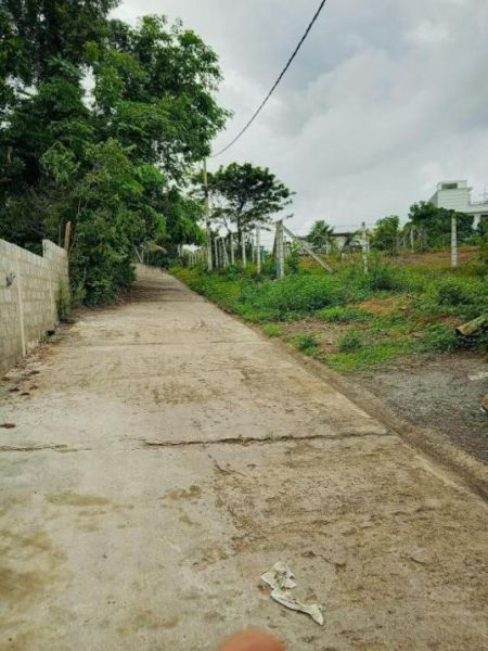 Exterior - (RH651) Brand New House for Sale in Panadura