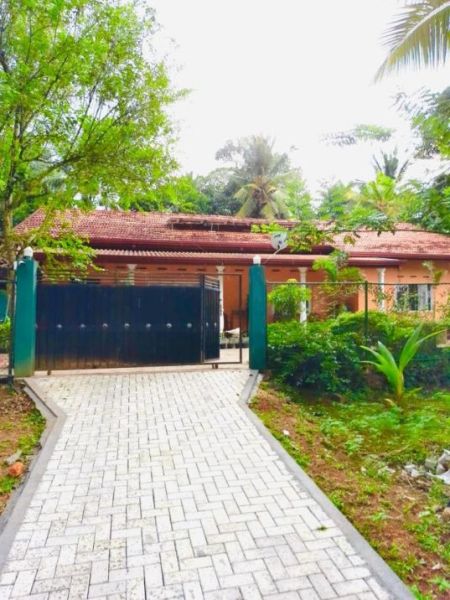 Exterior - (RH369) Single Storey House for Sale in Horana