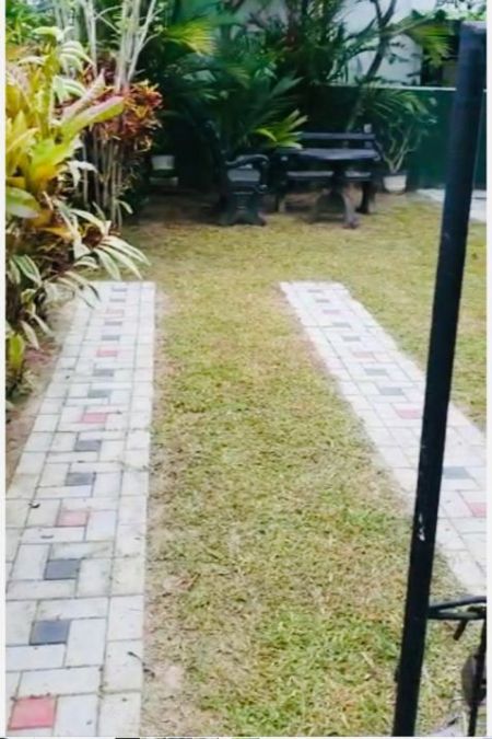 Exterior - (BH97) Luxury Furnished Two Storey House for Sale in Lake City, Ja-Ela
