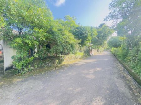 Exterior - (DH458) Two Storey House with Large Land for Sale in Piliyandala