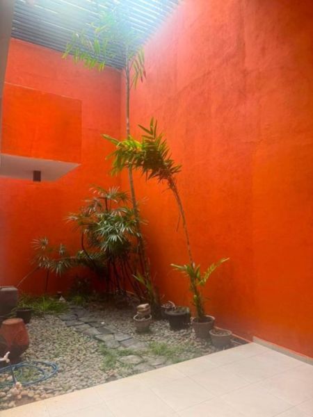 Exterior - Architect Designed 4 BR Modern House for Rent | Templers Road, Mount Lavinia | LKR 325,000 / month (Ref: EM044MI)