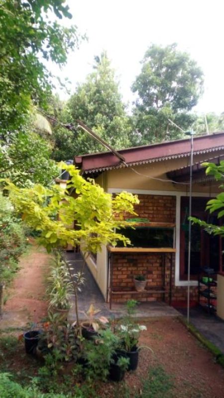 Exterior - (BH169) Single Storey House for Sale in Ganemulla