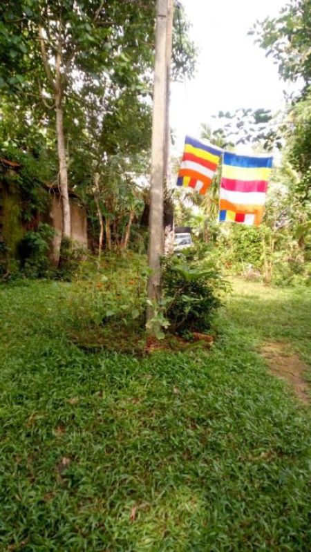 Exterior - (BH169) Single Storey House for Sale in Ganemulla