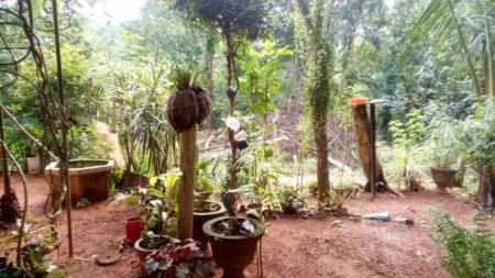 Exterior - (BH169) Single Storey House for Sale in Ganemulla