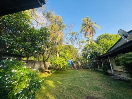 Exterior - (RR652) Single Storey House for Rent in Panadura