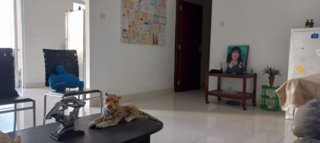 Living Room - Reliance Residencies Furnished Apartment for Sale - A41846