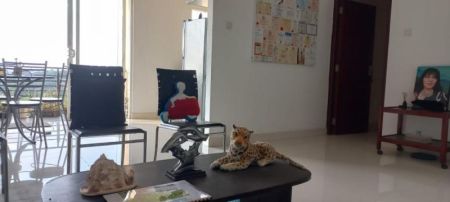 Living Room - Reliance Residencies Furnished Apartment for Sale - A41846