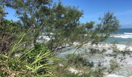 Beachfront land
