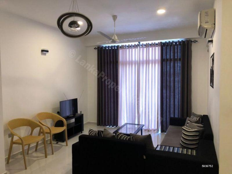 Living Room - Apartment for rent in Colombo 7